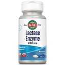 KAL Lactase Enzyme 250 mg, Diconsultion Duction for Laktosa Intoleransi, Liquid- Filed ActivGels Made Without Soy, 250 FCC Units, 30 Servings, 60 SoftGels