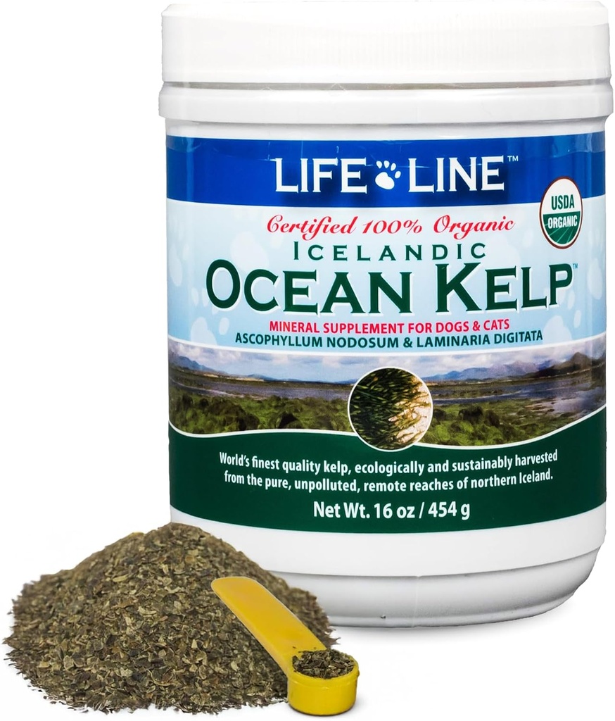 Garis Hidup USDA Certified Organic Ocean Kelp for Pets & Liquery 124; Supports Skin & Coat Health, Immune Fungsi, dan Dental Hygiene 124; Probut Metabolisme & Reduces Plaque dan Shedding - 16 oz