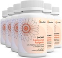 Lipomal apigenin 500mg Softgels - Optimal Apigenin Suplemen dengan Fisetin, Quercetin dan Theafein - 12 Pasokan Bulan