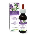 Naturalma Alfalfa atau Lucerne (Mediterania Sativa) ramuan dengan Bunga Alcohol- Free Tincture - Rich in Natural Chlorophyll - 4 fl oz Liquid Extract in Drops - Herbal Supplemen - Vegan