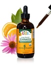Anak-anak Herb Pharm mendapat - Organik Alcohol- Bebas Echinacea Glycerite Ekstrak, 4 oz
