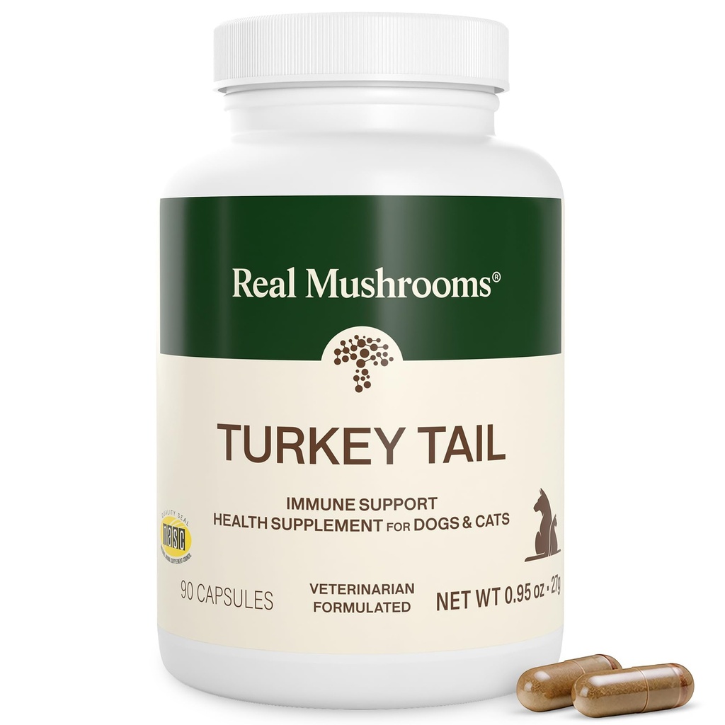 Jamur asli Katup Turkey Tail untuk Pets -Cat Propoles & Dog Vitamin - Organic Jamur Suplemen Anjing & Kucing - Menyediakan Keseimbangan Harian & Well- Menjadi Non-GMO, 90 ct