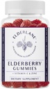 Elderlane Elderberry Gummies for Adulants and Kid - Imune Support - Non-GMO, Vegan, Gluten- Free, Glatin- Free - 60ct, 100mg
