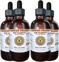 Hawaii Pharm Saw Palmetto (Serenoa Repens) Ekstrak cair 4x4 f.oz