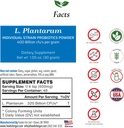 Makanan untuk Gut Lacleillus Plantatum Probiotic Powder 400 Milyar Cfu 's 124; Dibuat di AS 124; Tidak ada Addocusm 124; Langsung dari Manufacerst 124; Tidak Ada Penyimpanan Partai 124; Imune Dukungan 124; 30 Grams (1.05 Oz)