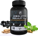 Shilajit Himalaya Suplemen 60% Fulvic Acid, 120 Vegan Capsules Suply dengan Pure Natural Shilajit, Ashwagandha, Ginseng Extract - Tinggi dalam Trace Minestrals for Men Energy Support