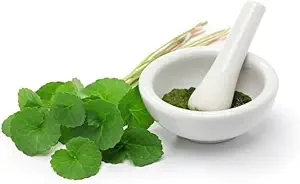 (Pack of 2) Organik Centella Asiatica Powder (50g)