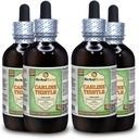 Carline Thistle (Carlina acaulis) Glycerite, Dried Roots Alcohol- Free Liquid Extract (Nama Merek: HerbalTerra, Proughtly Made in USA) 4x4 f.oz (4x120 ml)
