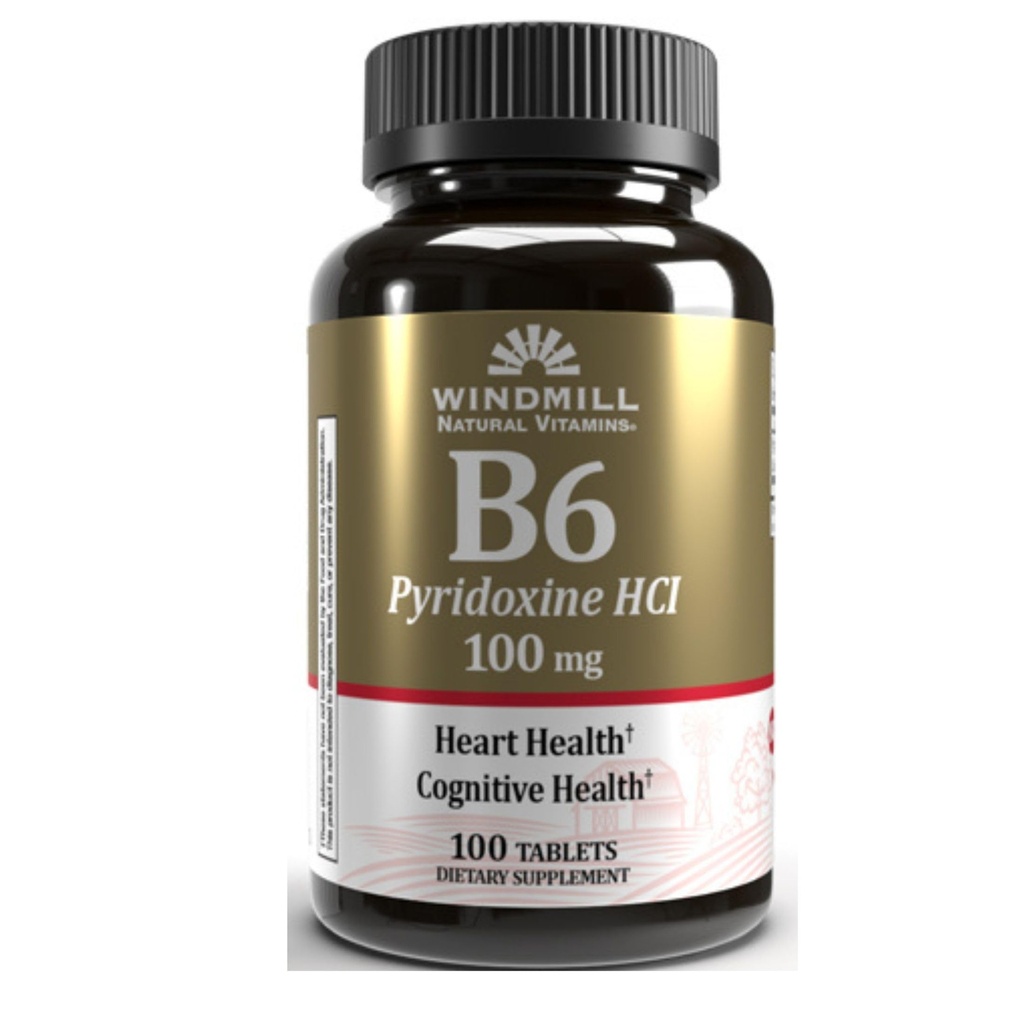 VIT B-6 TAbs 100 MG WMELL 100