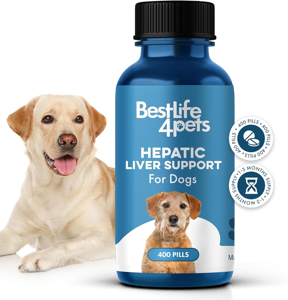 Dukungan Hepatic Liver untuk Anjing, Penambahan Digeptical Digeptical Canine untuk Detox Liver dan Absorpsi Nutrient, 100% All Natural, Easy to Give, Free of Chemical atau Additives, 400 Pil
