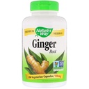 Nature 's Way Ginger Root 550 mg, Capsules 180ea