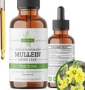 Mullein Tincture - Organic Mullein Drops for Lung Dukung & Respiratory Wellness - Made in The USA - 2 Fl Oz