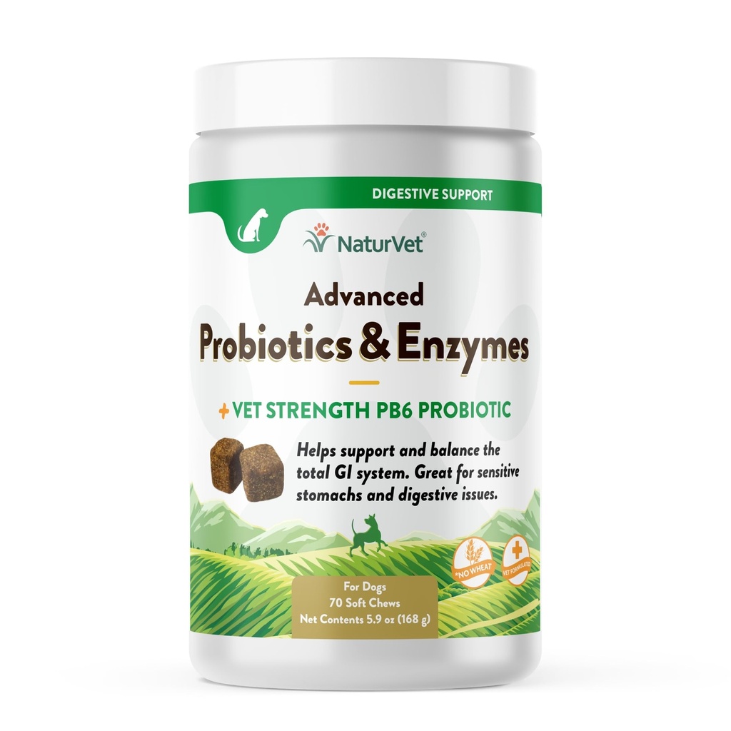 EDVet Advanced Progories & Enzymes, PB6 Dog Soft Chews untuk Membantu Perut Sensitive dan Issue Digetical, Hickory Smoked Bacon Pet Suppplemen untuk Dogs Lebih dari 6 Minggu, 70 Count Jar