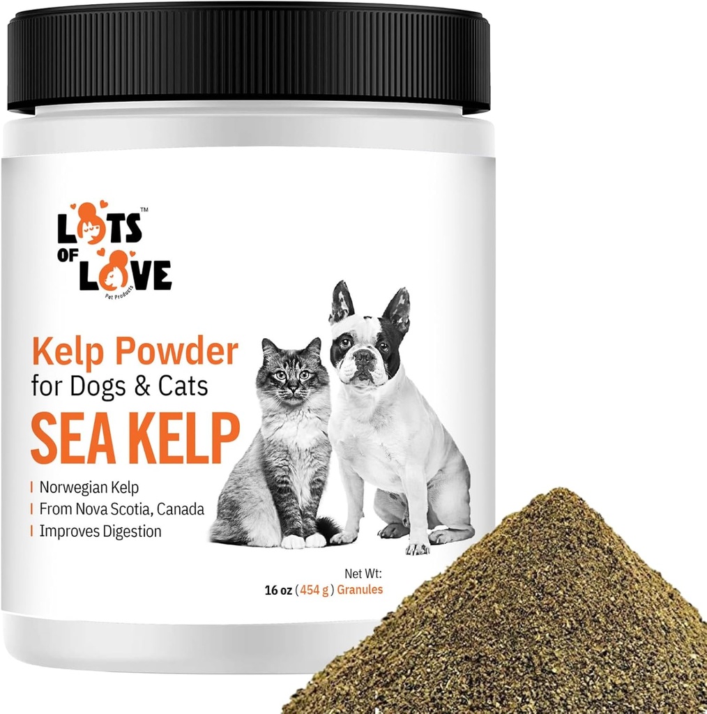 Bubuk Kelp untuk Anjing & Cat - Komplotan Laut Organik Suplemen Granules (16 Oz, 1 Pound)