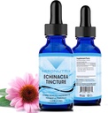 Absonutrix Echinacea Tacture Advanced Formula 390 mg, 4 Oz Liquid, 302 Servings, Made in USA, Quick Absorpsi, Quality Venable Ingreations, Non-GMO, GMP Certified Facility, Cruelty- Free Products