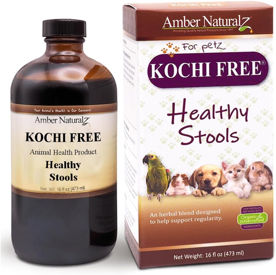 Amber AveralZ Kochi Free Herbal Supplemen untuk Dogs, Cats, Birds, Rabbes, dan Guinea Pigs: 124; Mendukung Fungsi Bowel Sehat 124; Bantuan Natural for Digetical Saldo 124; 16 Fluid Ounce Glass Bottle