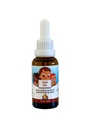Punkin Butt Baby Ear Oil 124; Garlic Organik, Mullein, Calendula Ear Drops Aman bagi Bayi (1 oz)