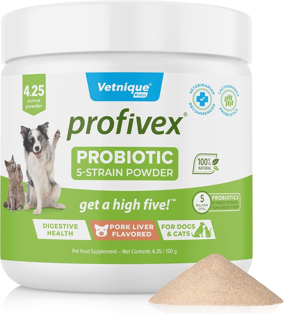 Vetnique Labs Profivex Progetic for Dogs All Natural Dog Chews & powder for Digetical Health Probiotic Suplemen untuk Dogs 5 Strains of Propoles & Preposer (Powder, 4.25oz)