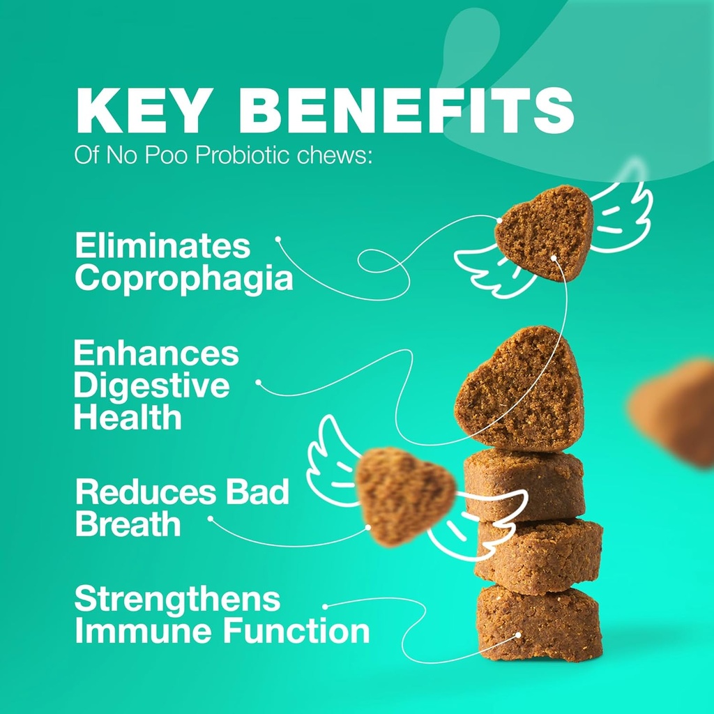 Tidak ada Poo Chewables untuk Dogs - Enzymes, Progories Dog untuk Kesehatan Digetical - Canine Digeptical, Gut & Immune Health Supplemen