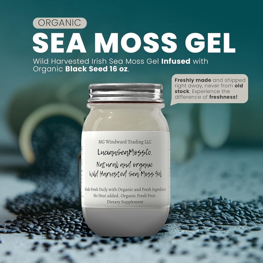 Ashwagandha Laut Mangga Moss Gel Organ Fruit Tertanam Wild Harowed Sea Moss Gel 124; Ammune dan Digetical Dukungan 126; Vitamin Mineral Antioksidant Suplemen 124; (16 oz. Ashwagandha Mango)