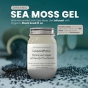 Ashwagandha Laut Mangga Moss Gel Organ Fruit Tertanam Wild Harowed Sea Moss Gel 124; Ammune dan Digetical Dukungan 126; Vitamin Mineral Antioksidant Suplemen 124; (16 oz. Ashwagandha Mango)