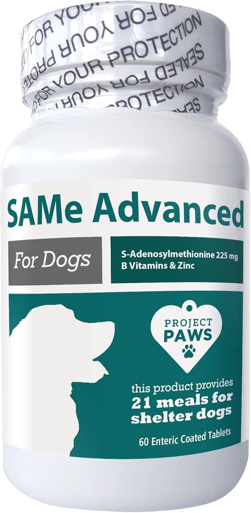 Proyek Paws Sama untuk Anjing - Dukungan Hati untuk Dogs dengan Vitamin B - Cognitive Dog Tambahan - S Adenosyl Methionine untuk Anjing - 60 ct.