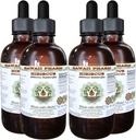 Hibiscus Alcohol- Free Liquid Extract, Organic Hibiscus (Hibiscus Sabariffa) DryFlower Glycerite Hawaii Pharm Natural Herbal Supplemen 4x4 oz