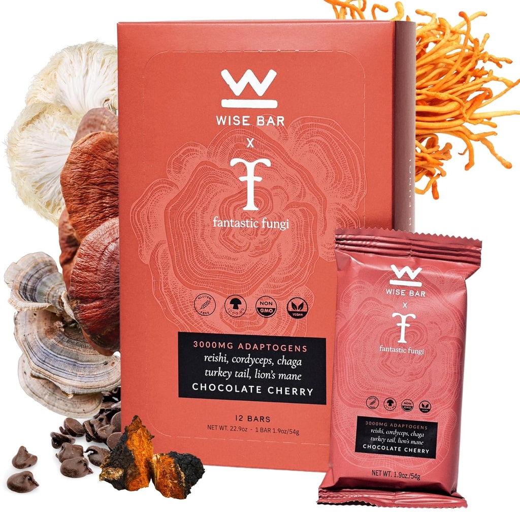Wise Bar Adaptogen Mushroom Nutition Bars with Reishi, Lions Mane & Ashwagandha, Organic Vegan & Gluten Free Snack for Natural Focus, Energy & Imunity Support, Chocolate Cherry Flavor, 12 Count