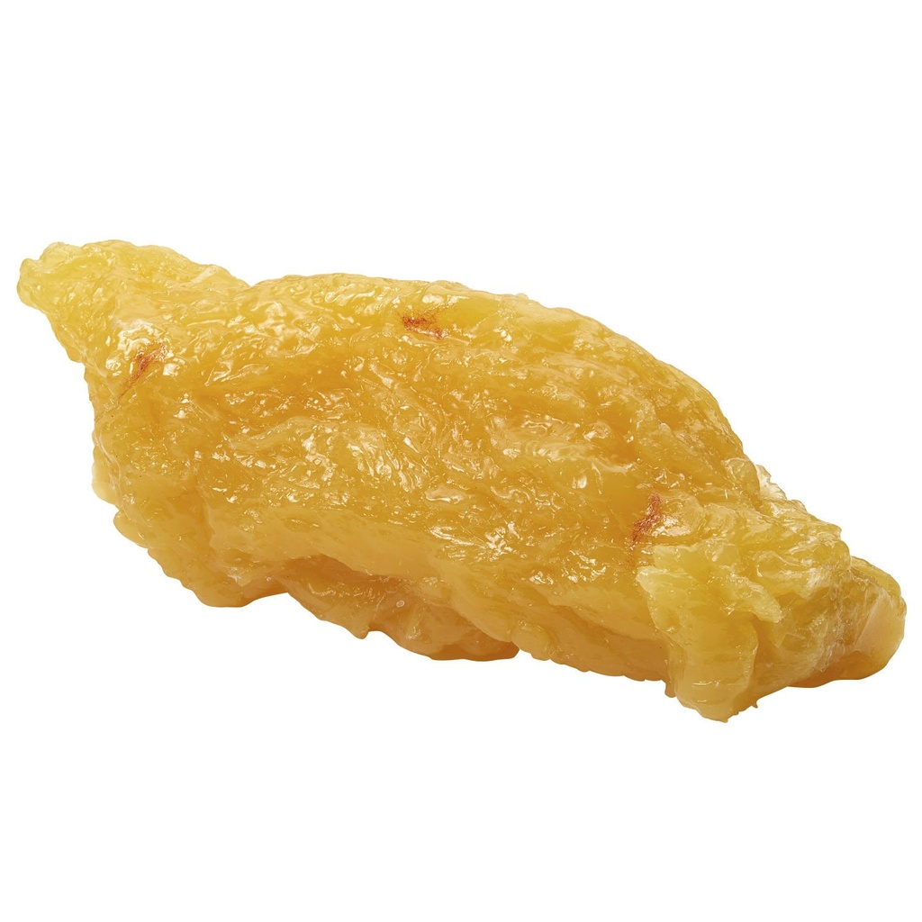 Nasco Wa04313 Manusia Tubuh Fat Replica, 5 lb.
