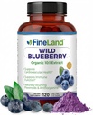 FineLand Wild Blueberry 10: 1 Ekstraksi, 6.000 mg Kekuatan, 120 Vegan Capsules, Rich dalam Flavonoid & Anthocyanins, Antiokidant Dukungan untuk Kesehatan Otak & Hati, 4-Bulan Suppply, Non-GMO Dibuat di AS