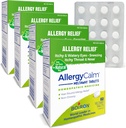 Boiron AllergyCalm Tablet 240 Count, Relief from Allergies and Hay Fever Sympitics of Sneezing, Runny Nose, Itchy Eyes, Throat, Allergy Calm Tab (Forest RhinAllergy) (Pack of 4 60ct Boxes)