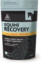 PURICA Equine Hyaluronic Acid - Horse Joint Suppplement with Glucosamine, MSM Powder, Betaine, Magnesium, Vitamin C dan E - Green Tea and Grape Weed Extract