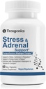 Trexgenics Advanced Stress & Adrenal Dukung 5X ADAPTOGENS Ashwagandha, Rhodiola, Bacopa Bacosides, Panax Ginseng + B-Complex (60 Veg Capsules)