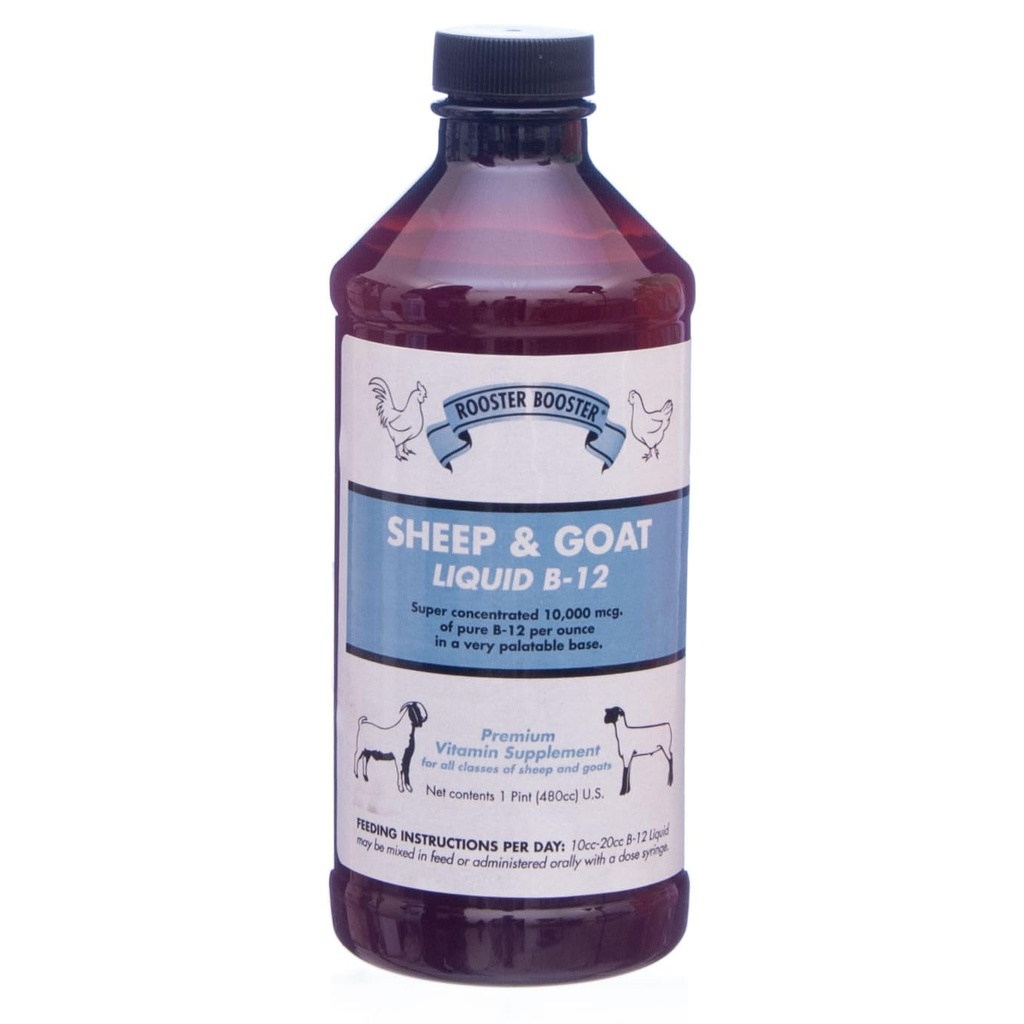 Rooster Booster B-12 Sheep and Goat Liquid, 16- Ounce