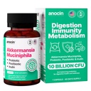 Akkermansia Muciniphila + Probiotic, Postbiotic & Inulin - Gut Health Supplement for Dibuble, Ammune Support - 10 Milyar CFU, Vegan & Gluten- Free