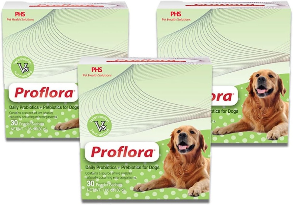 Probiotik untuk Anjing - Divalle Sehat - Boost Immune System