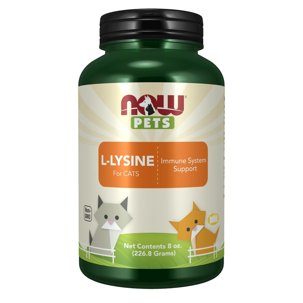 Sekarang Pet Health, Tambahan L-Lysine, Powder, Formulasi untuk Kucing, NASC Disahkan, 8- Ounce