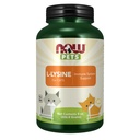 Sekarang Pet Health, Tambahan L-Lysine, Powder, Formulasi untuk Kucing, NASC Disahkan, 8- Ounce