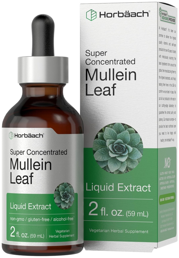 Horbäach Mullein Leaf Extract Drops 12.4; 2 ifl oz 124; Alkohol Liquid Tincture 124; Vegetarian, Non-GMO & Gluten Free Herbal Suplemen