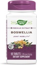 Nature 's Way Standardized Boswellia, 40% Boswellic Acids per Serving, TRU- ID Certified, Vegetarian, 60 Tablet, Paket 2