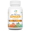 Aura Ginger Capsules - 120 Veg Capsules. 2 Pasokan Bulan. PastiBoosts Distrable, Relief Homach Upset dan Improviously Impunity Imporves. Tidak ada GMO dan Gluten Free.