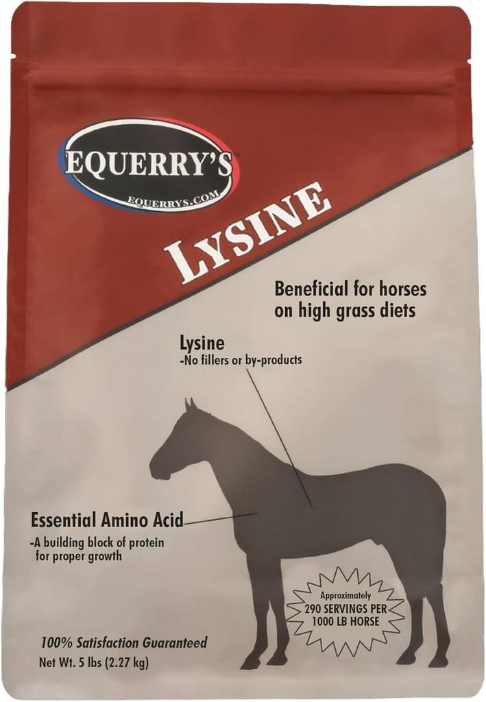 Suplemen Lysine Equerry untuk Kuda 124; Isisine Powder Suplemen untuk Dukungan Otot dan Imune Kesehatan 124; Balances Forage- Berdasarkan Diet 124; 5Ib Bag