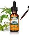 Herb Pharm Anak-Anak Dihancurkan Alcohol- Free Sinus Samurai Cair Herbal Formula, Organik, 1 Fl Oz