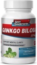 Suplemen Otak untuk Memori dan Fokus - Ginkgo BILOBA 120MG - Gingko Biloba Plant, Suplemen Fokus untuk Dewasa, Gingko Biloba Suplemen, Ginko Biloba Pil Natural, Memori Suplemen - 1B 60 Caps