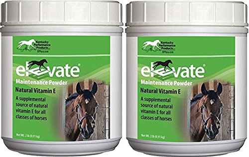 Kentucky Performance Products 2 Pack of Elevate Maintenance Power, 2 Pounds Setiap, Natural Vitamin E Horse Suplemen