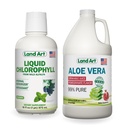 Land Art Aloe Vera Juice - Pomegranate Flavored - Cold Processed - Inner Fleed from Organic Fresh Leaves - 64floz + Liquid Chlorofil Mint - Cold Extracted from Wild None - GMO Alfalfa - 16floz