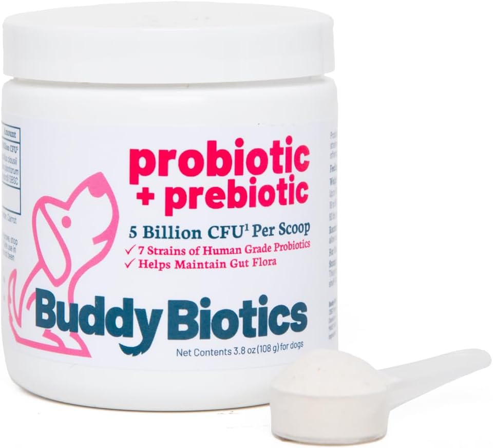 Buddy Biotics Probiotic + Prebiotic for Dogs-- Gut Flora Health, Digetical and Immune Health, Diare and Bowles Support - 5 Milyar CFU per Scoop