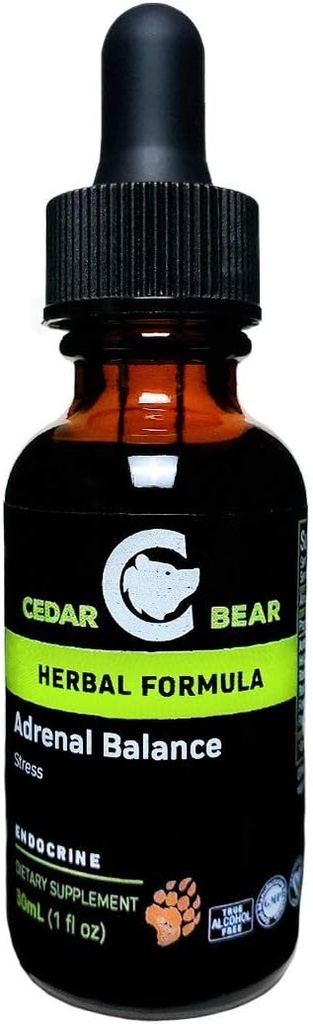 Cedar Bear Adrenal Balance - Liquid Herbal Suplemen dengan Adaptogens Bahwa Fights Fatigue, Manage Stress dan Meningkatkan Energi 1 fl oz / 30 ml