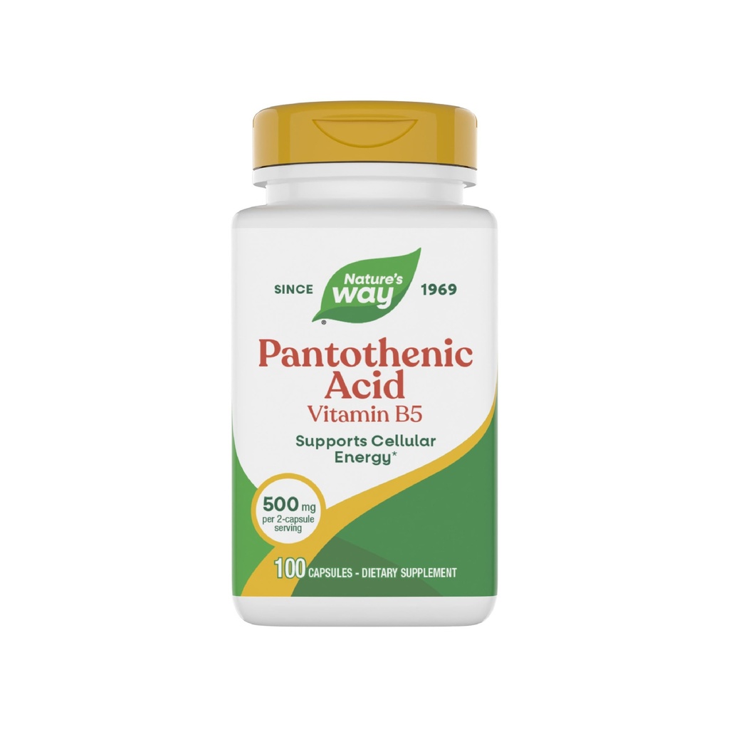 Nature 's Way Panthenic Acid, Support Cellular Energy *, 500mg Per Serving, 100 Kapsul