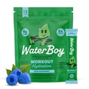 Hidration Waterboy Workout 124; 2.960mg Sugar Free Electrolyte Powrents 134; L-Glutamine + Vitamin 124; No Sugar, All Natural, Gluten Free Sounds 124; 15 Drum Stick Mixes (Blue Raspberry)